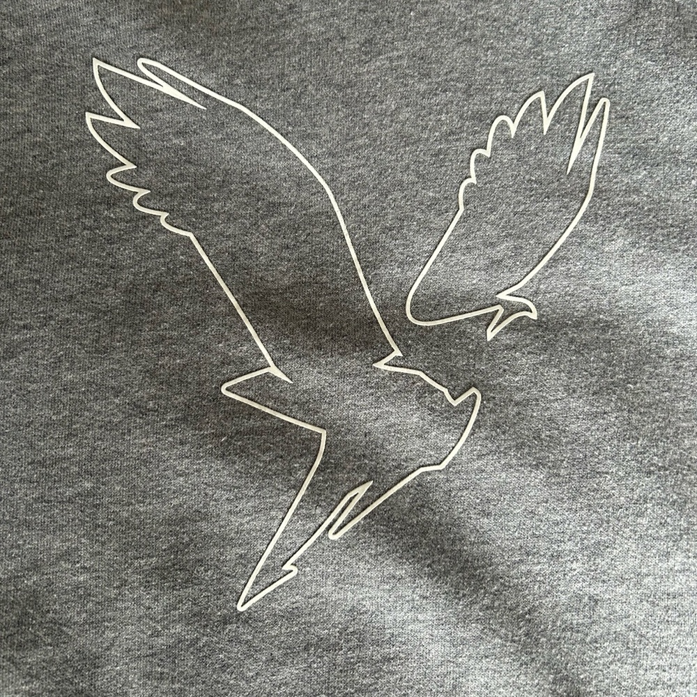 American Eagle Heather Grey Soft Graphic Hoodie Medium Gorpcore Classiccore - Picture 3 of 6